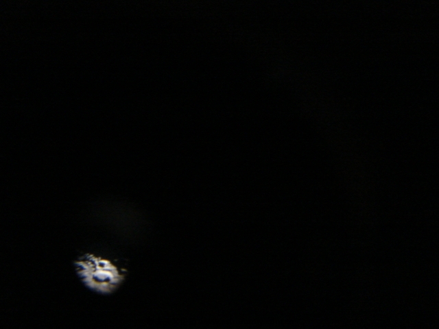 DSC02283.JPG