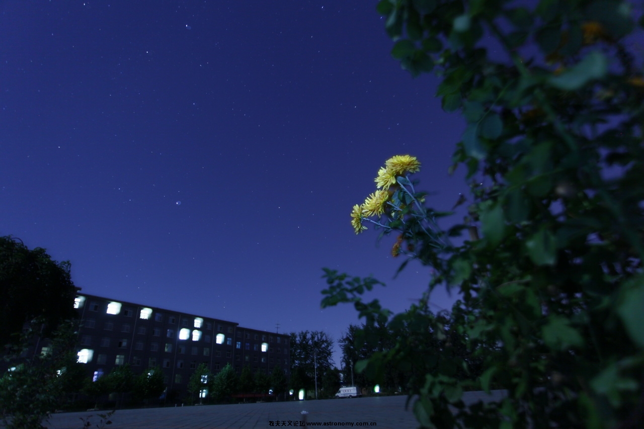 _MG_1353_调整大小.JPG