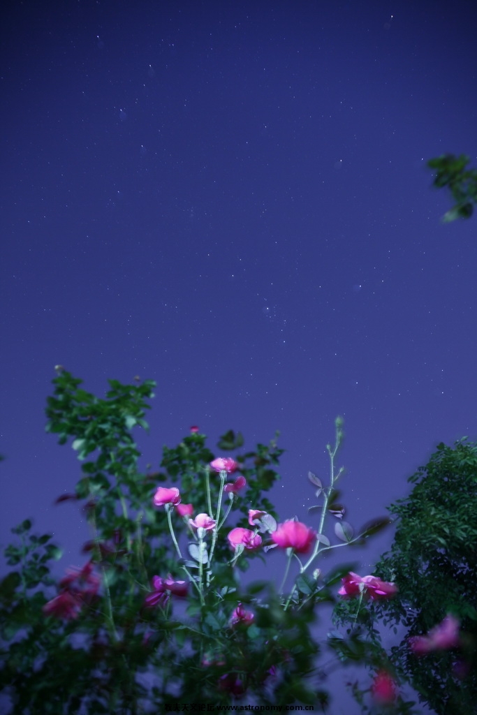 _MG_1346_调整大小.JPG
