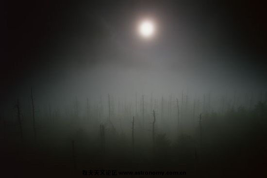 太阳的光辉几乎无法冲破弥漫的烟雾，给Clingman’s Dome山带来一点光明。这些死去的冷杉，是空气污染导致蚜 ...