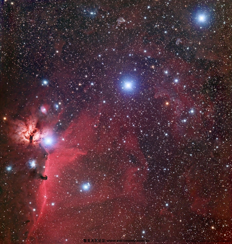 05.belt_horsehead_nfo2.jpg