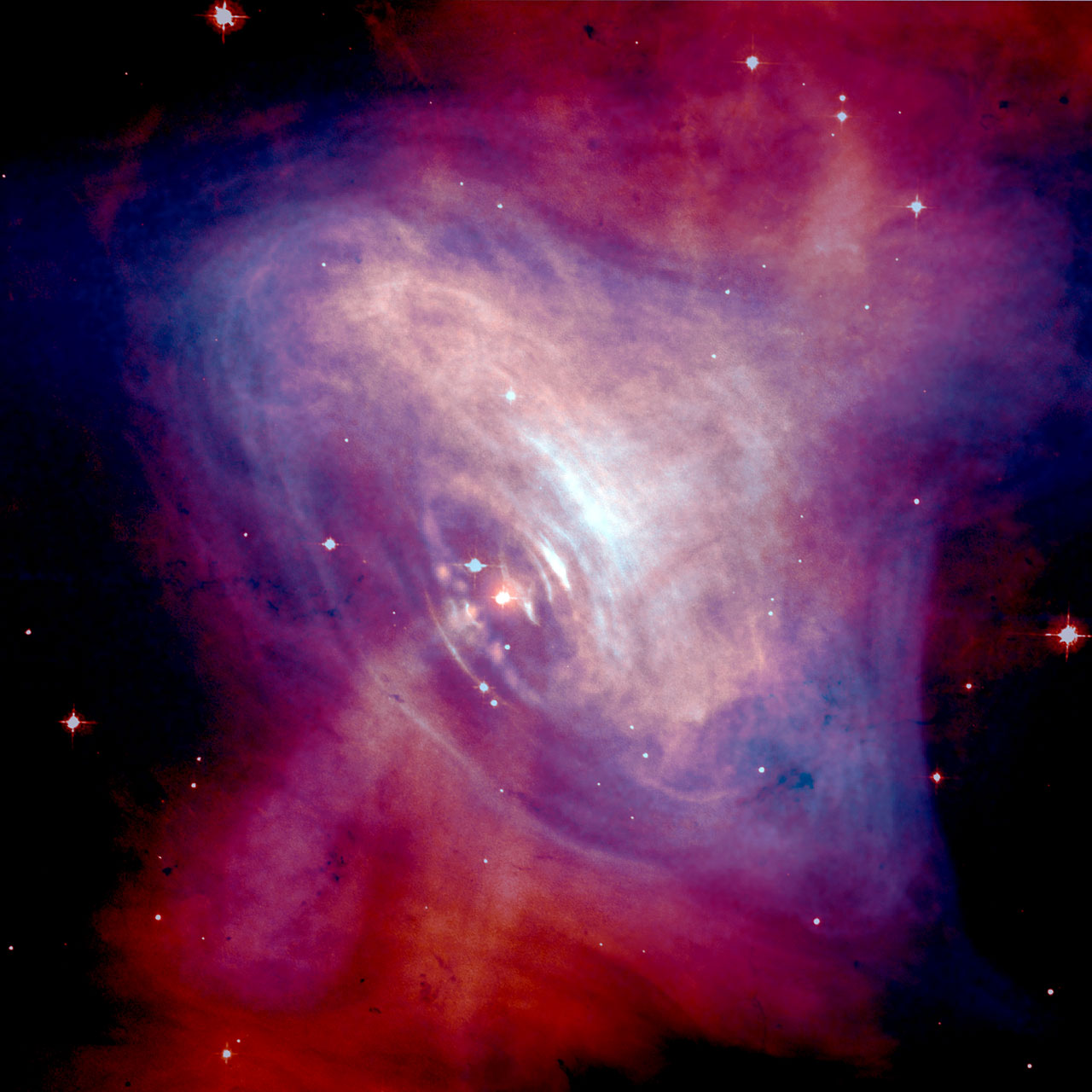 opo0224a.jpg