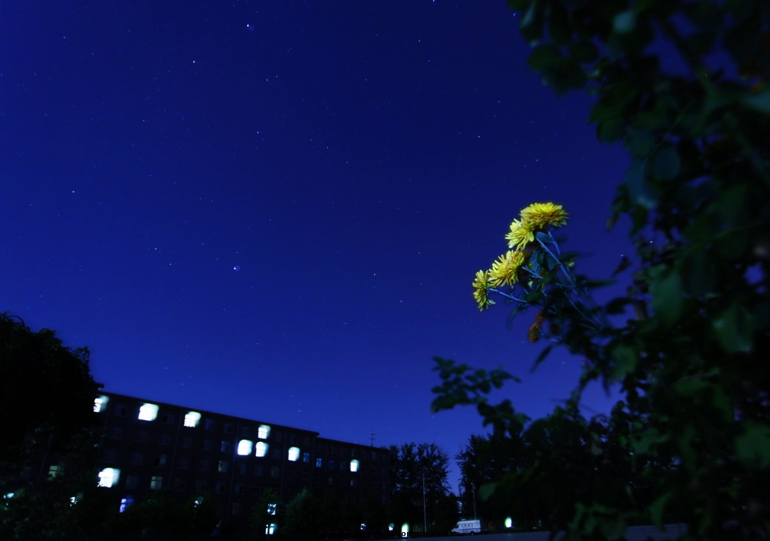 _MG_1353_调整大小.JPG