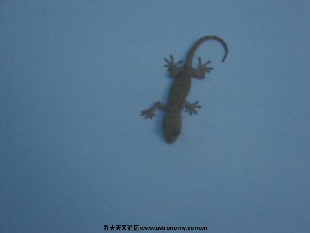 DSC02645.JPG