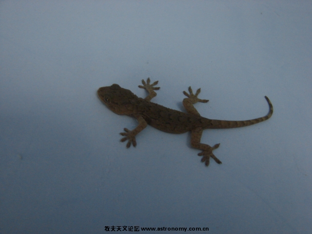 DSC02664.JPG