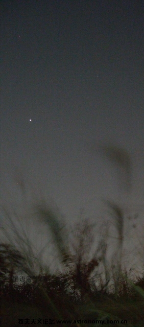风中孤星.JPG