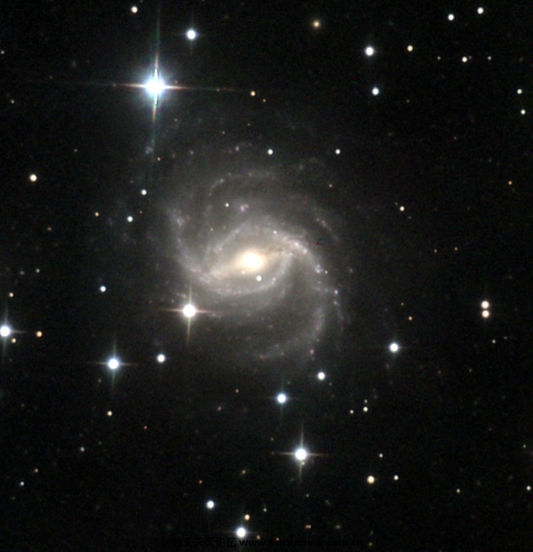 04.05.ngc5921-MS Mike Shade Images -- Takahashi Mewlon 300 Telescope.jpg