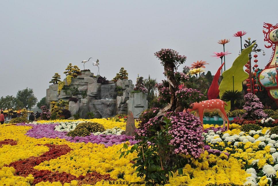 龙7.JPG