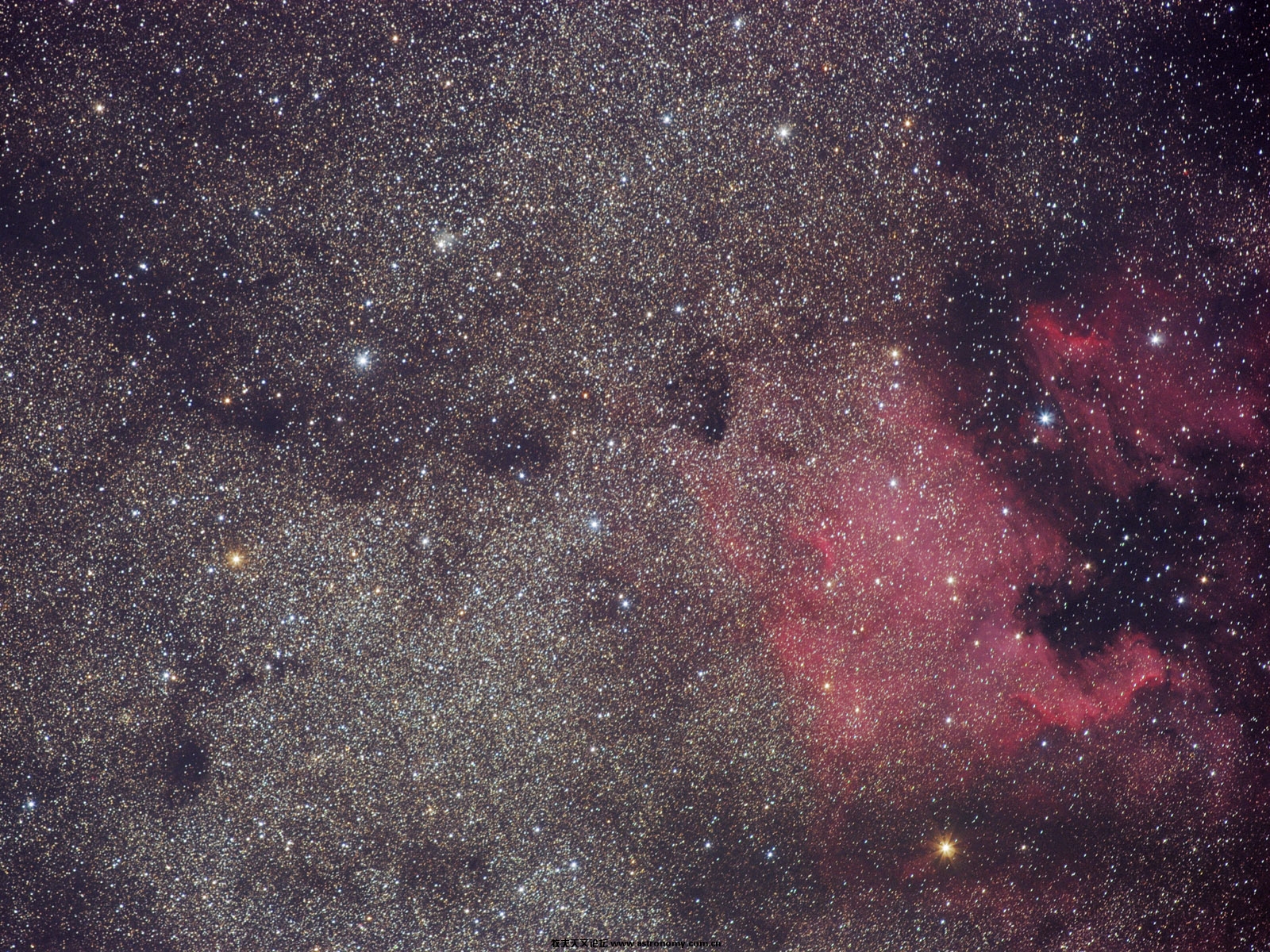 NGC7000_QHY8_9x600s_desktop.jpg