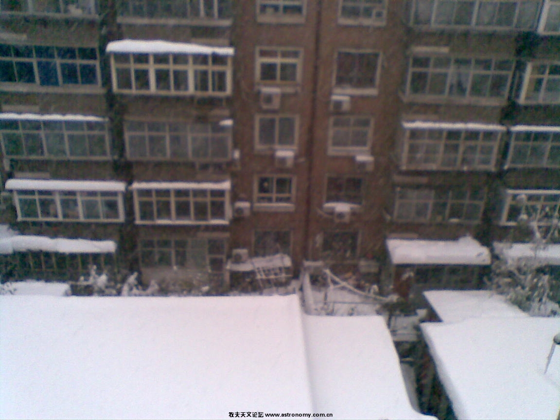 20091111(001).jpg