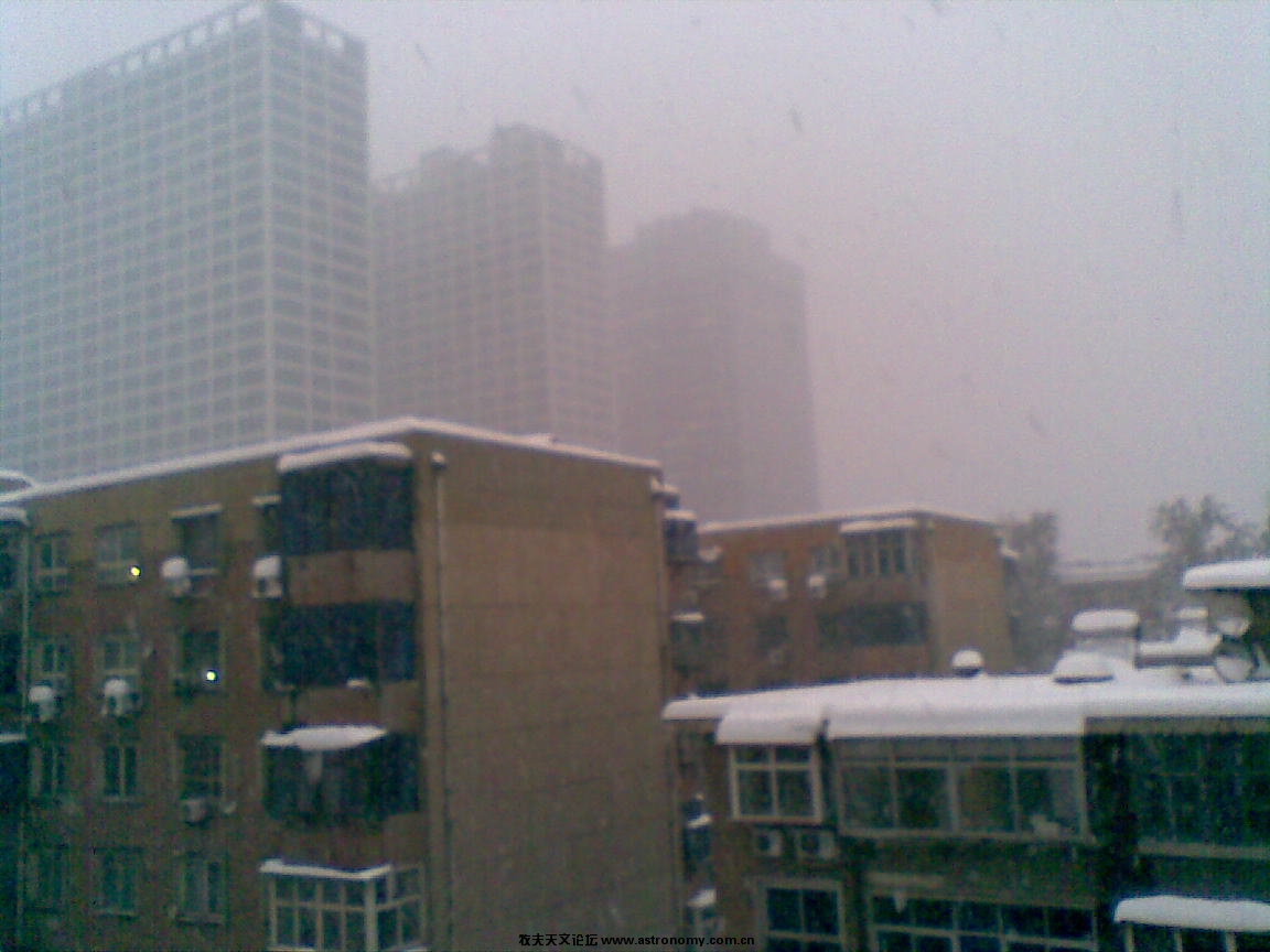 20091111(002).jpg