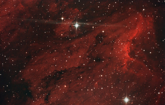 阿伦-希尔拍摄的鹈鹕星云.jpg