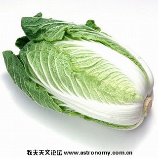 大白菜.jpg