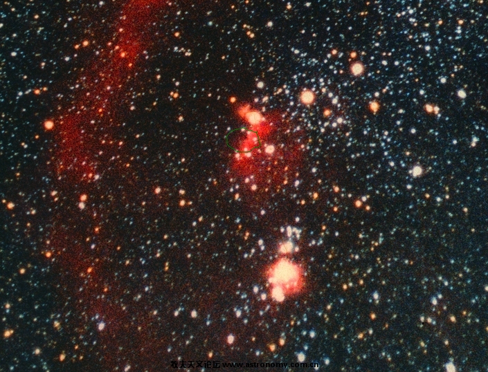 horsehead.jpg