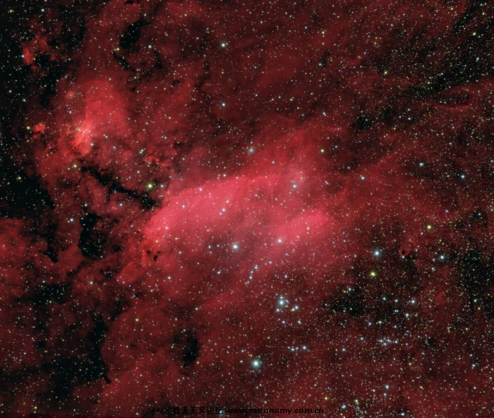 IC4628HARRGBFull.jpg