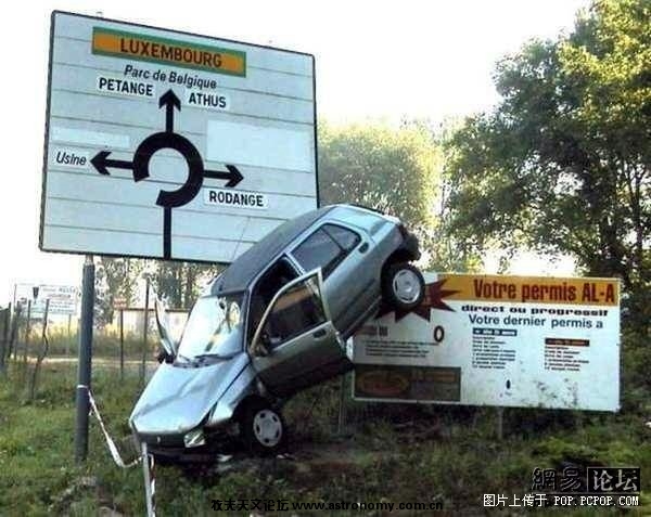 z6.jpg