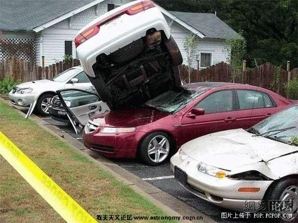 z8.jpg
