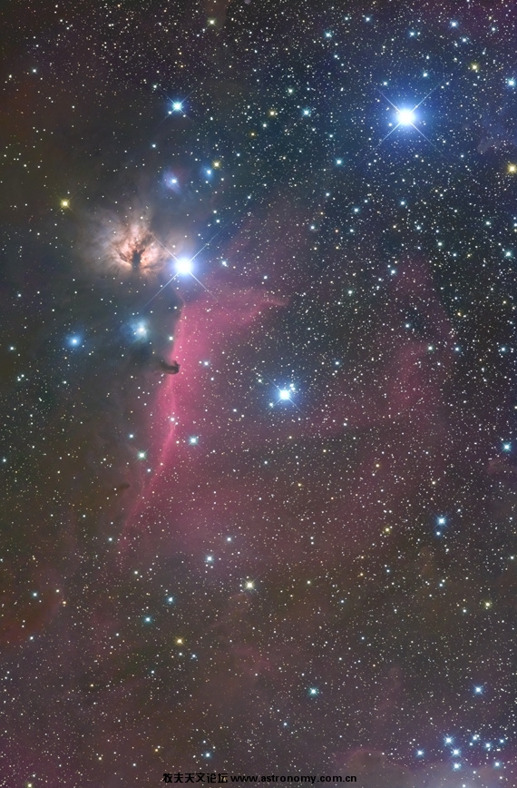 horsehead_wide.jpg