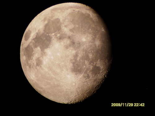 SL380373.jpg