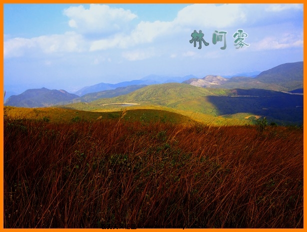 94_306949_7d85416c1dede31.jpg