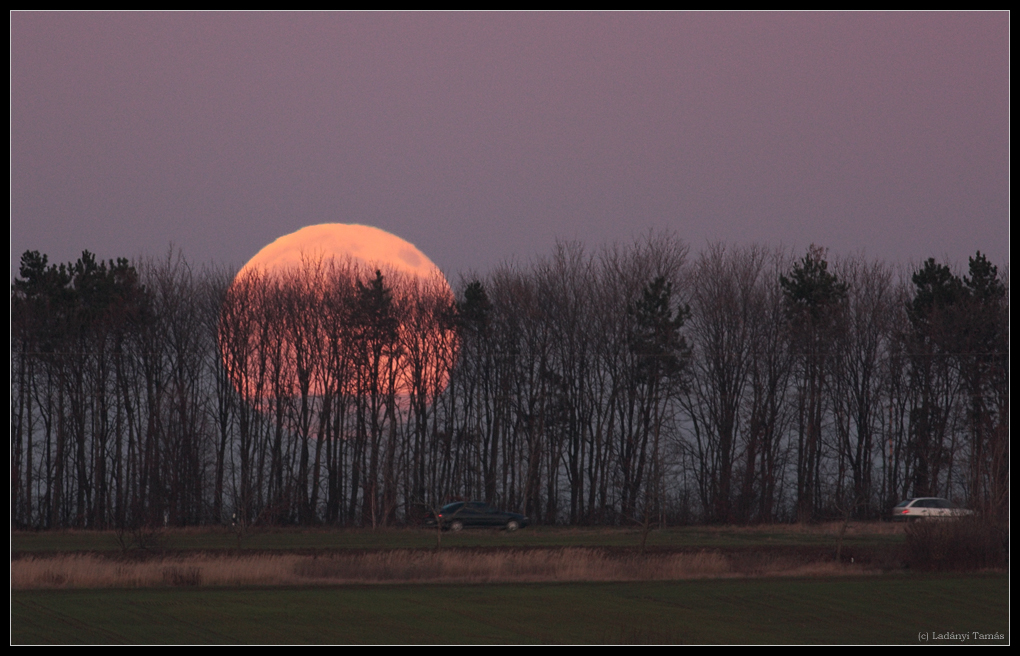 Tamas-Ladanyi-moon_091202_ladanyi_1259789795.jpg