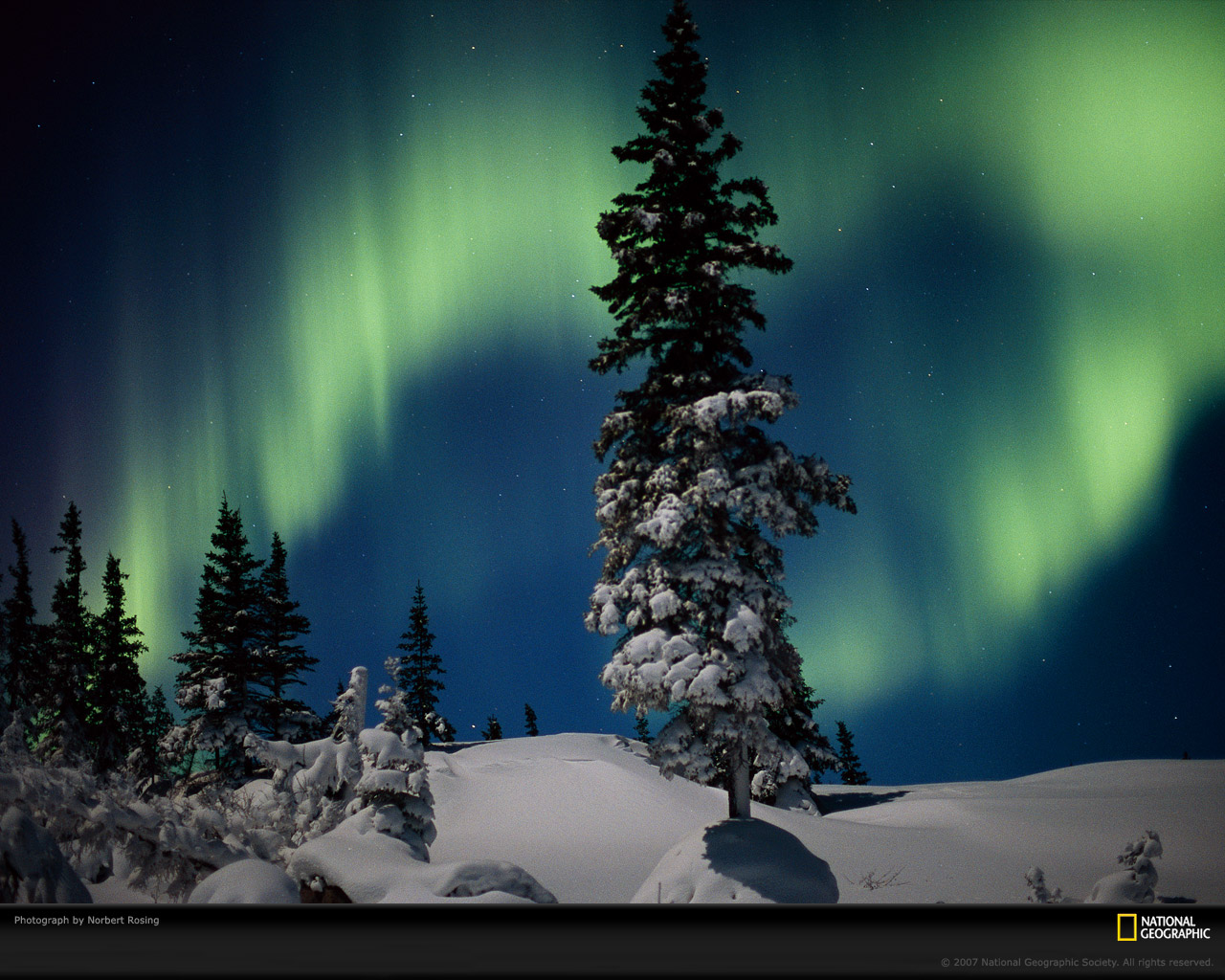 aurora-and-evergreens-978024-xl.jpg