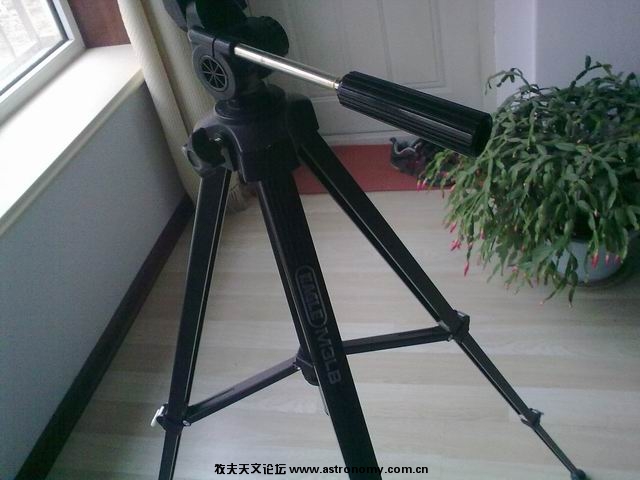 调整大小 20091204298.jpg