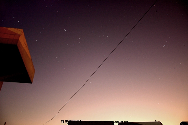 DSC_0310.JPG