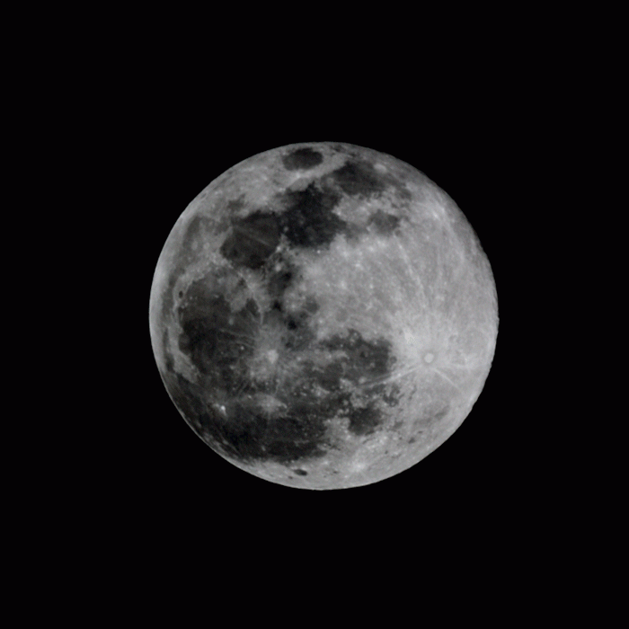 2.gif