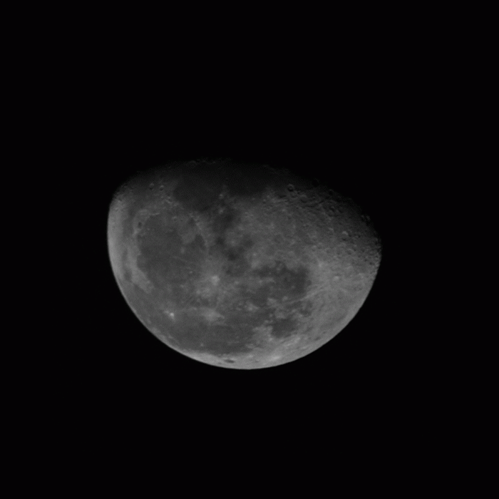 4.gif