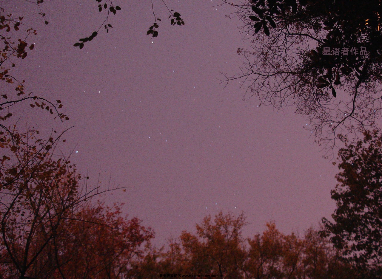 麓山红叶·星空.jpg