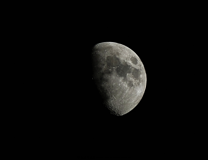 DSC_6110.jpg