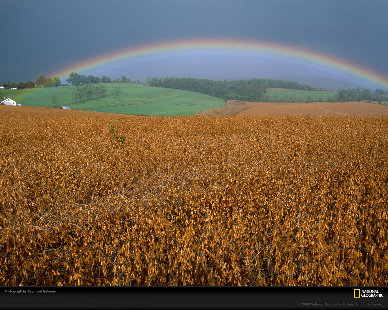 rainbow-field-gehman-980384-xl.jpg