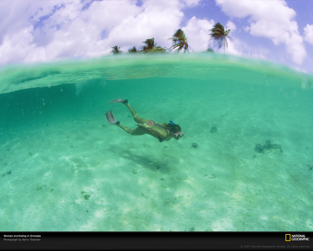 snorkeling-grenada-691061-xl.jpg