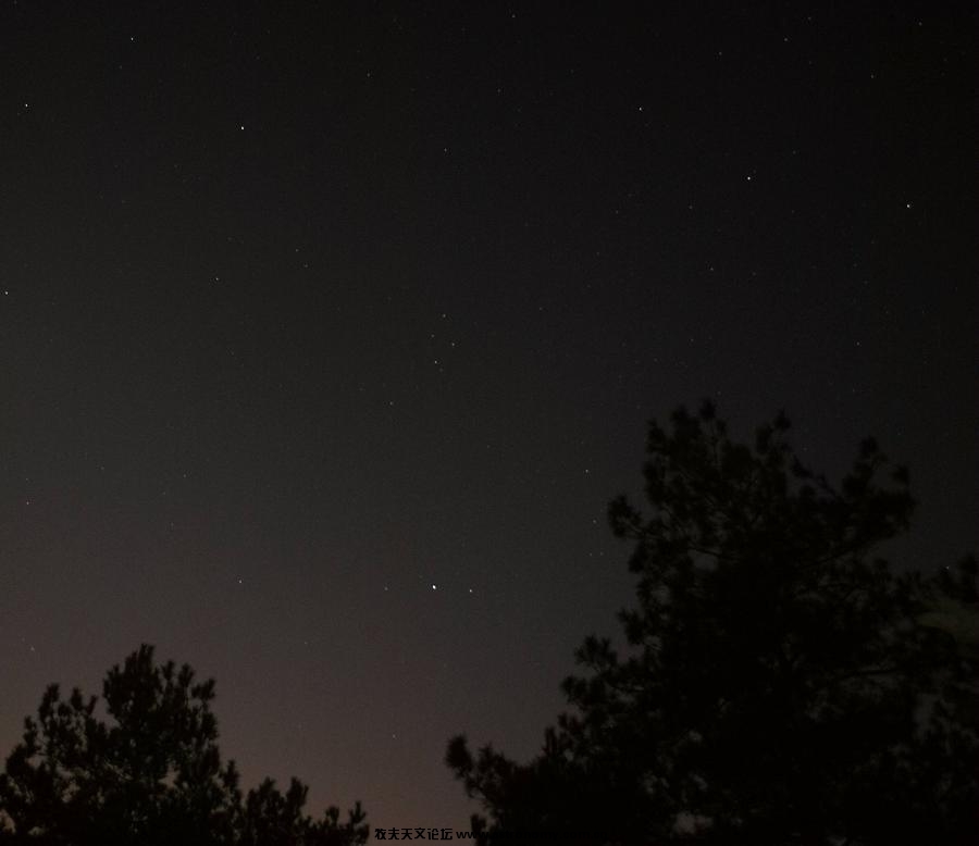 DSC_1511.jpg