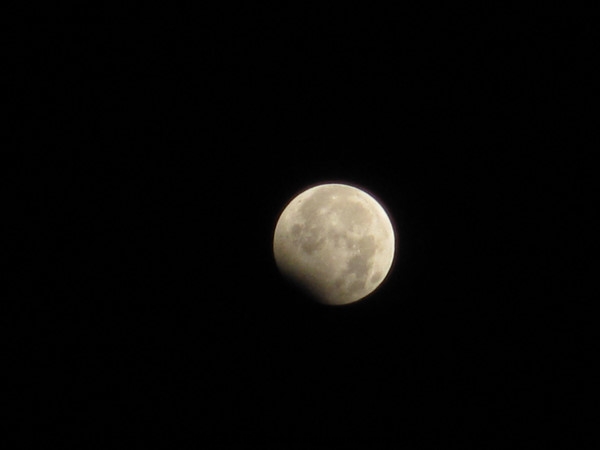 p_large_m5mm_2b5b0004c6582d11.jpg