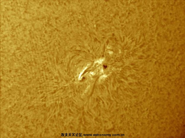 Michael-Borman-s010110haspot_1262382755_med.jpg