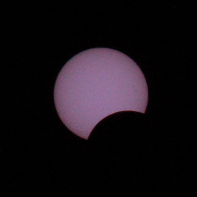 DSC_3432s.jpg