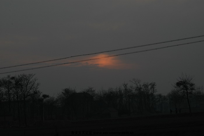 DSC_0921.JPG