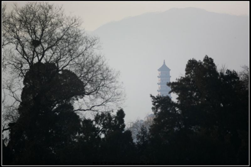 照片 015.jpg
