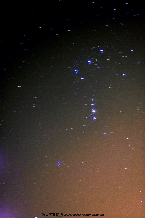 DSC_0981.jpg