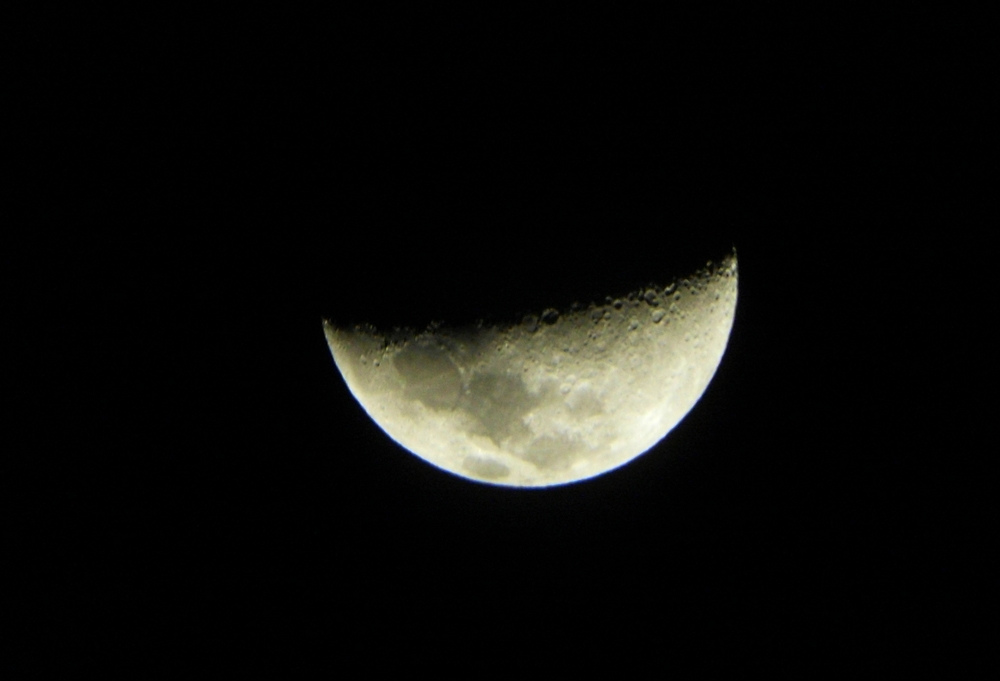 SL380677.JPG
