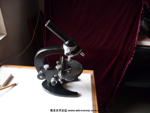 P1010519.JPG