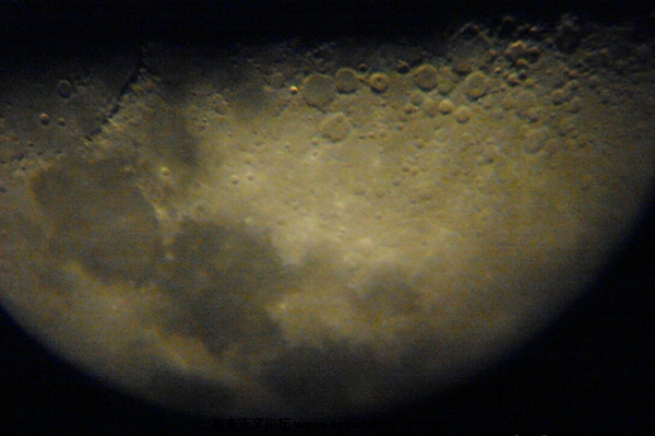 SL380687.JPG
