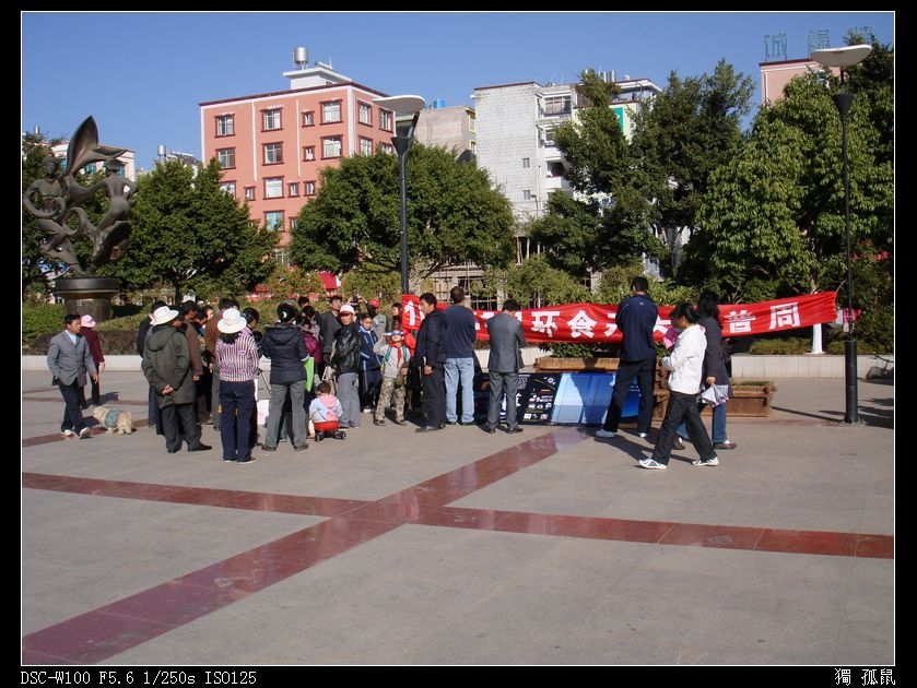DSC00324.jpg