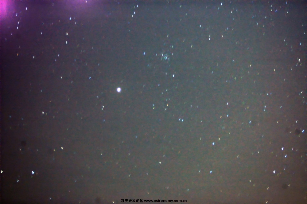 DSC_1010.JPG