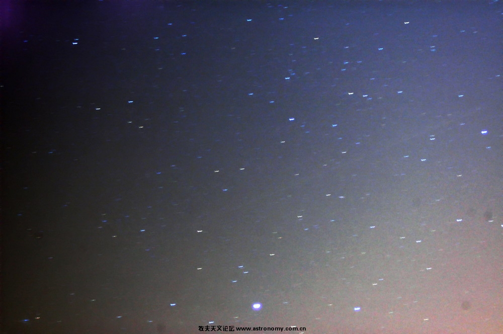 DSC_1006.JPG