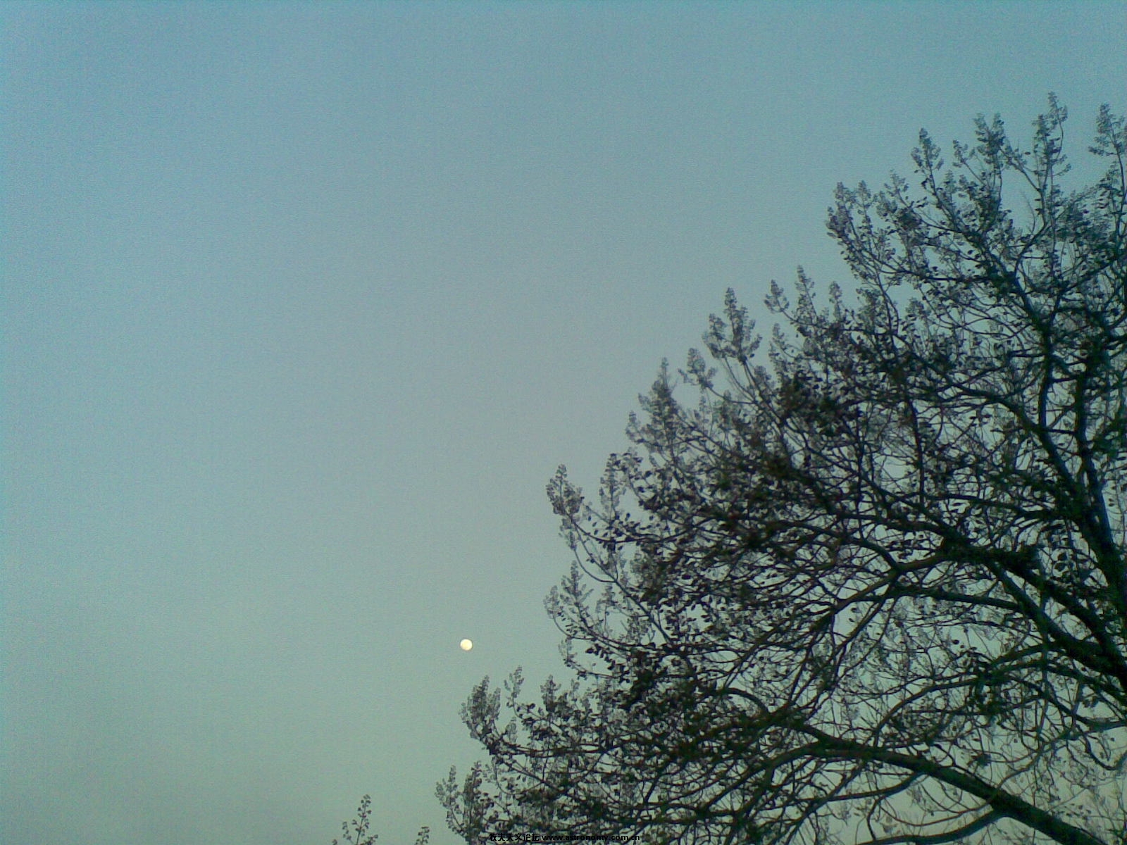 20100128_021.jpg