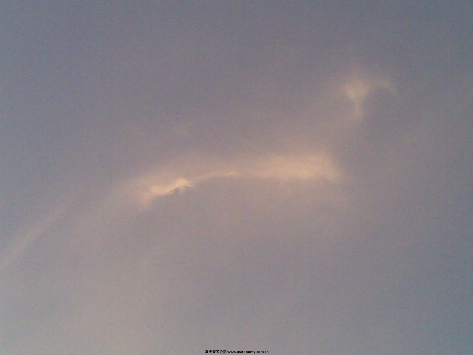 20100128_007.jpg