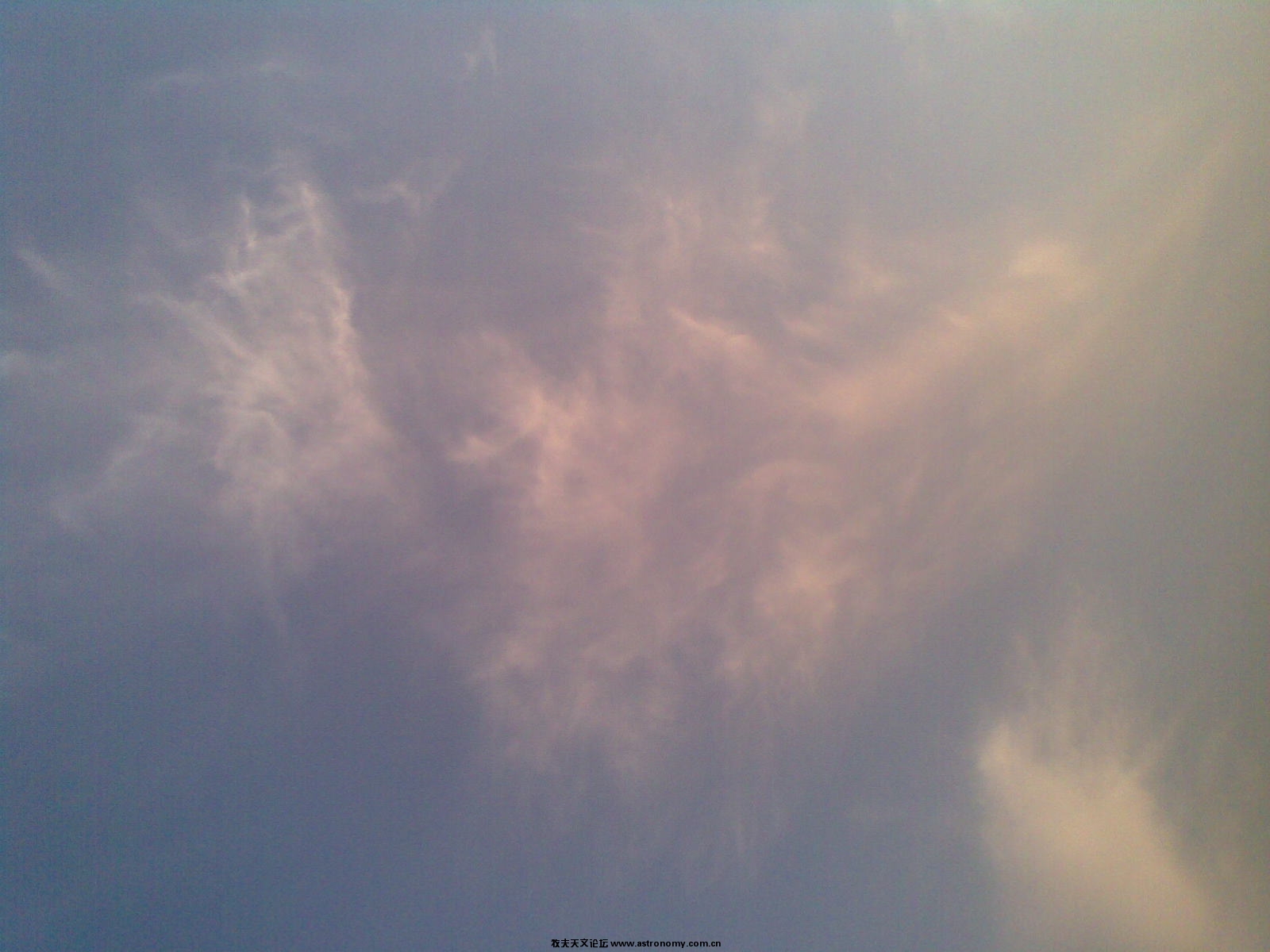 20100128_002.jpg